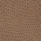 551 Faunal Brown