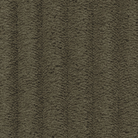 Corduroy 599 Olive