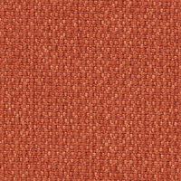 Argus 581 Rust